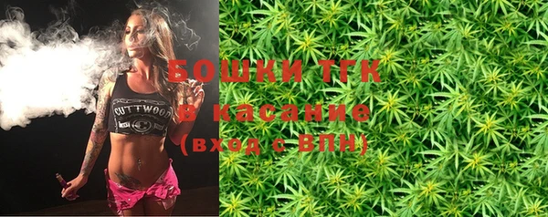 шишки Алзамай