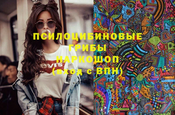 шишки Алзамай