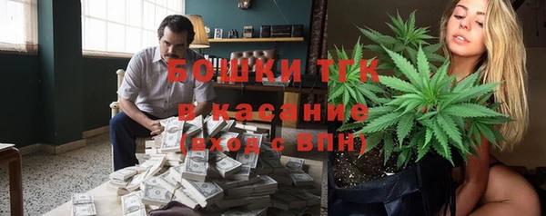 шишки Алзамай